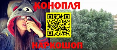 индика Кизилюрт