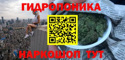 индика Кизилюрт