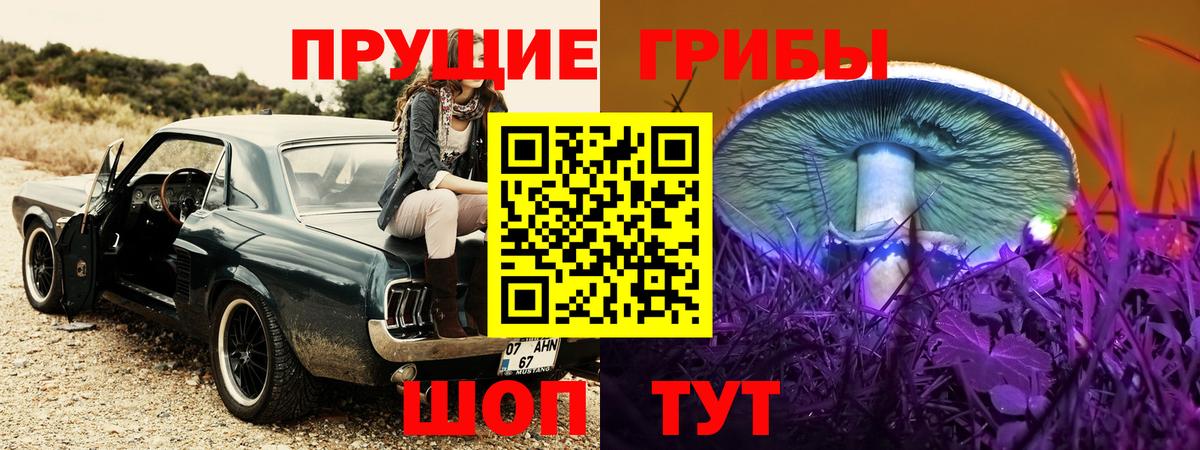Галлюциногенные грибы Cubensis Ржев