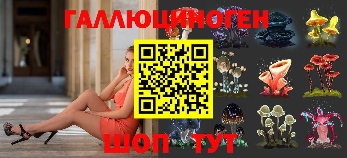 Ржев  Галлюциногенные грибы Psilocybe  Вход с VPN 