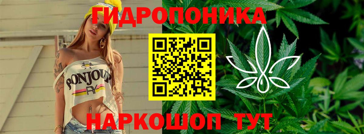 Бошки марихуана сатива  Канабис планчик  Вход с VPN  Канабис сатива  Ржев 