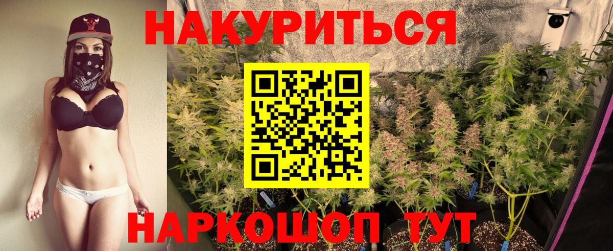 Шишки марихуана Amnesia Ржев